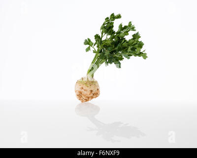 Raw radice di sedano con foglie su sfondo bianco Foto Stock