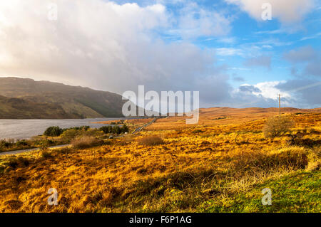 Lough Finn a Fintown, County Donegal, Irlanda. Il paesaggio in novembre. Foto Stock