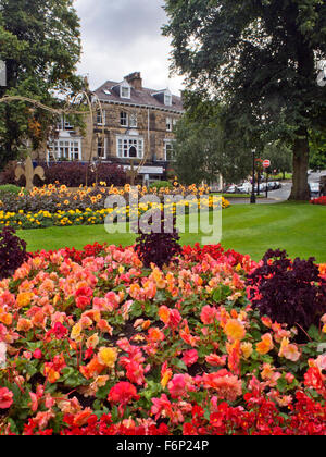 Summer Flower visualizzare sulla corona rotatoria e Montpelier Hill in Harrogate North Yorkshire, Inghilterra Foto Stock