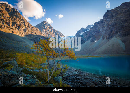 I colori autunnali a Blåvatnet nelle Alpi Lyngen Foto Stock