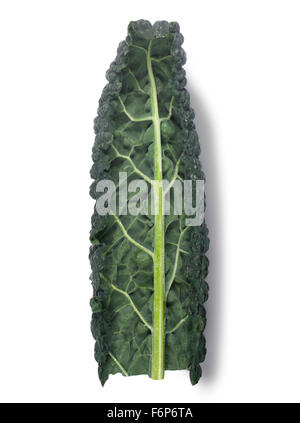 Cavolo nero Foto Stock