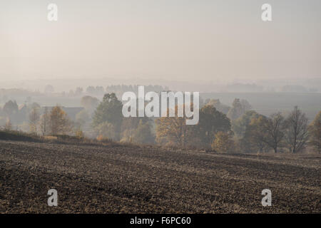 La nebbia di mattina autunnale su campi arati e alberi colorati vicino villaggio Grodziszcze Bassa Slesia Foto Stock