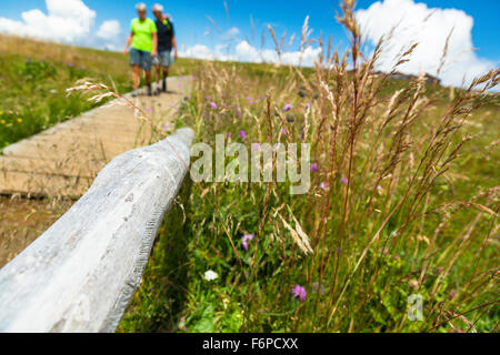 Due escursionisti al Seiseralm, Naturpark Sciliar Catinaccio, Dolomiti, Alto Adige, Italia Foto Stock