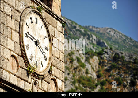 Vecchia Torre dell orologio con vegetazione che cresce su di esso in Kotor Foto Stock