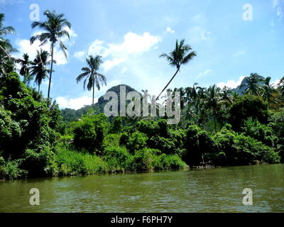 Rafting sul fiume/escursioni in canoa lungo il Fiume Sok in Khao Sok National Park riserva naturale in Phuket, Tailandia Foto Stock