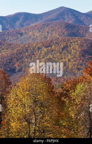 Vista panoramica della multicolore di alberi decidui e fogliame dei monti Appalachi del North Carolina in autunno Foto Stock