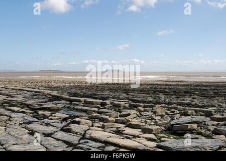 Costa britannica, Blue lias Limestone Slabs, Lavernock Point Galles Regno Unito, costa gallese, costa gallese Vista panoramica della spiaggia e delle rocce intertidali del cielo Foto Stock