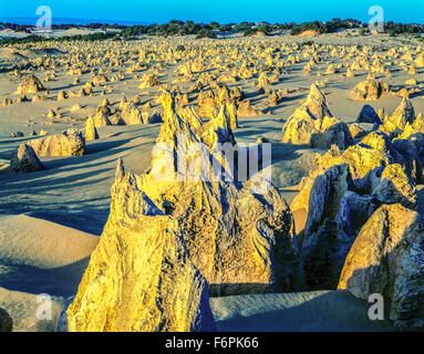 Deserto Pinnacles, Nambung National Park, Australia occidentale, Australia, colonne di pietra calcarea vicino Oceano Indiano Foto Stock
