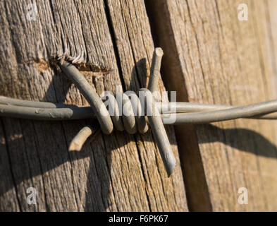 Filo spinato macro su sfondo di legno Foto Stock