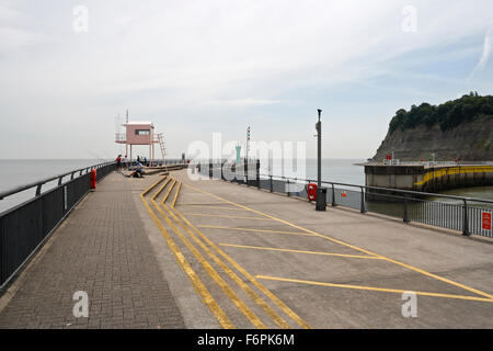 Cardiff Bay Barrage Breakwater Wales. torre panoramica. Costa gallese costa britannica Foto Stock