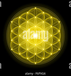 Fiore d'oro della vita con su sfondo nero, un simbolo spirituale e Geometria Sacra fin dai tempi antichi. Foto Stock