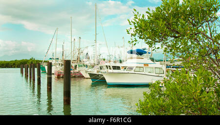 Barche legato al porto presso il porto di Cairns Foto Stock