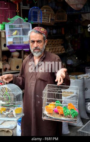 Uomo pakistano vende tinto colorati uccelli domestici in gabbie a Imperatrice Market Bazar Karachi Sindh Pakistan Foto Stock