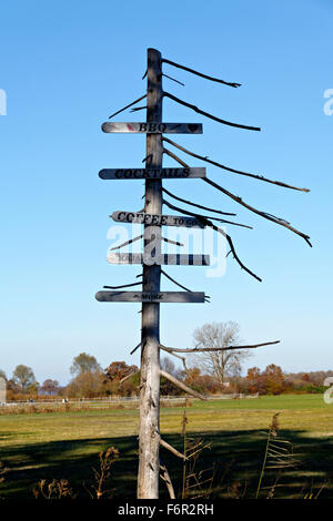 Vari cartelli pubblicitari su un albero morto, Ubersee, Chiemsee, Alta Baviera, Germania, Europa. Foto Stock