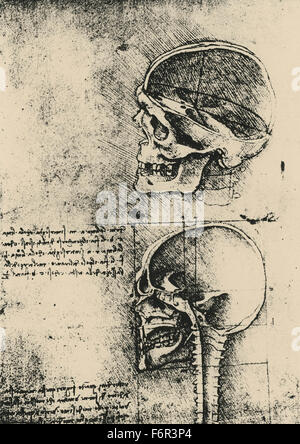 Leonardo da Vinci - Disegno di un cranio nel profilo con cranio rimosso Foto Stock