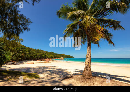 Anse Lazio beach a Isola di Praslin, Seicelle Foto Stock
