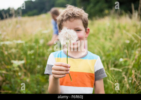 Ragazzo holding tarassaco fiore in Prato Foto Stock