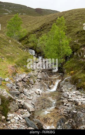 Affluente masterizzare tumbling sulle rocce come i viaggi in Glen Roy e nel Fiume Roy Foto Stock