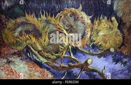 Quattro girasoli andati in seme (1887) di Vincent van Gogh (1853-1890) Foto Stock