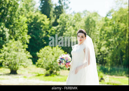 Meraviglioso brunette sposa all'aperto Foto Stock