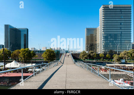 Francia, Parigi, Passerelle Simone de Beauvoir Foto Stock