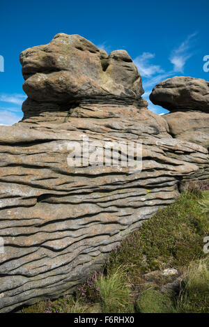 Insolite formazioni rocciose di weathered gritstone a squillare Roger su Kinder Scout nel Peak District, Derbyshire. Foto Stock