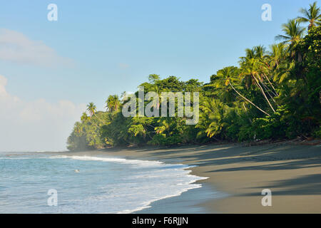 Spiaggia nel Parco Nazionale di Corcovado di Costa Rica Foto Stock