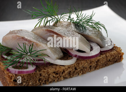 Aringa a fette sul pane di segale con cipolle Foto Stock