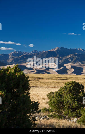 Mosca, Colorado - Grande dune sabbiose del Parco Nazionale e preservare. Foto Stock