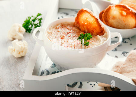 Purea di zuppa con crema di cavolfiore e crostini Foto Stock