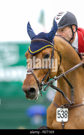 Affidabilità NC Grand Prix - Ian Millar (CAN) di equitazione in stile presso il National Abete rosso di prati, Giugno 2006 Foto Stock