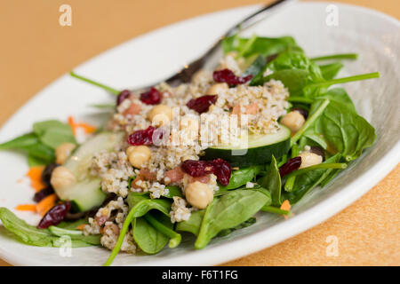 Fresca e sana insalata di quinoa su letto di spinaci con mirtilli rossi secchi Foto Stock