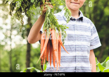 Ragazzo caucasico tenendo le carote in giardino Foto Stock