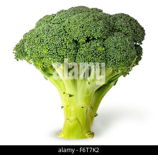 Grandi infiorescenze di broccoli freschi isolati su sfondo bianco Foto Stock