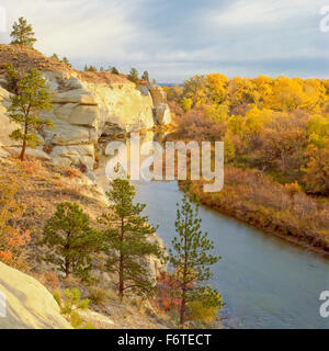 Le scogliere e i colori dell'autunno lungo il fiume a linguetta vicino a Ashland, montana Foto Stock