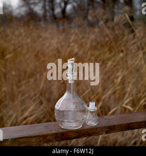 Dollaro in bottiglia Foto Stock