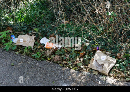 Cucciolate sul ciglio della strada, REGNO UNITO Foto Stock