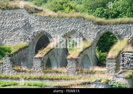 Monastero di Alvastra rovina in Ostergotland, Svezia. Foto Stock