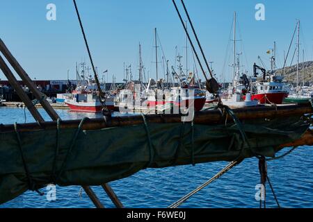 Commerciale di pesca barche ormeggiate in Bodø, Norvegia. Foto Stock