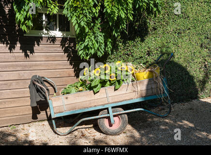 Hidcote Manor Garden, Gloucestershire, UK, realizzato da Lawrence Johnston nei primi 20c. Un giardiniere del carrello Foto Stock