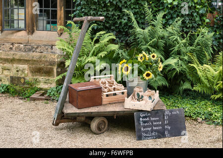 Hidcote Manor Garden, Gloucestershire, UK, realizzato da Lawrence Johnston nei primi 20c. Fiori e ortaggi per la vendita Foto Stock