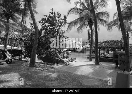 Il tempo primaverile in Philipsburg, Saint Martin Foto Stock