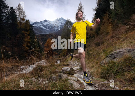 Giovane uomo in esecuzione su di un sentiero, Zay valley, Ortler in background, il Parco Nazionale dello Stelvio, Alto Adige, Italia Foto Stock