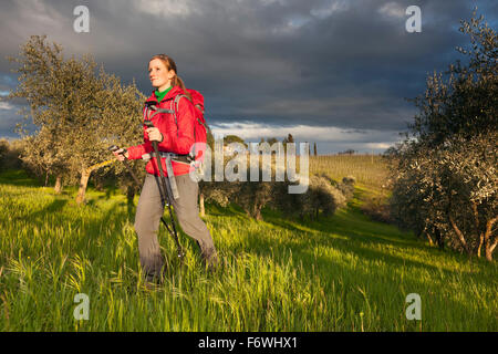 Giovane donna escursioni attraverso un uliveto, Val d Orcia, Toscana, Italia Foto Stock