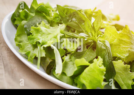 Verde insalata mix close up Foto Stock