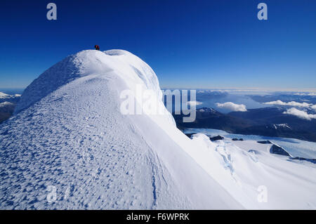 Due alpinisti sul vertice occidentale del Monte Sarmiento, Cordillera Darwin, Tierra del Fuego, Cile Foto Stock