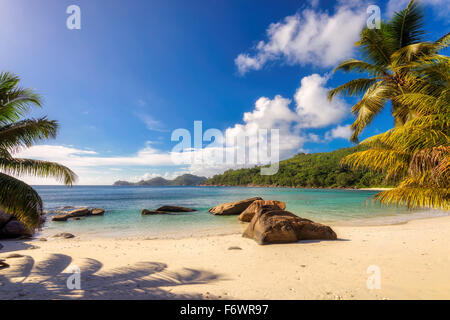 Belle spiagge dell'isola delle Seychelles Foto Stock