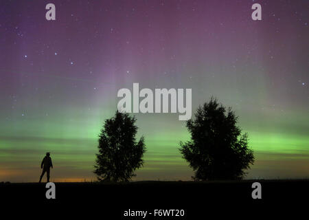 L'uomo guarda la Northern lights (Aurora Boreale) in Europa, Estonia Foto Stock