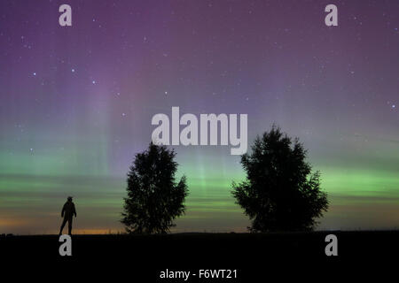 L'uomo guarda la Northern lights (Aurora Boreale) in Europa, Estonia Foto Stock