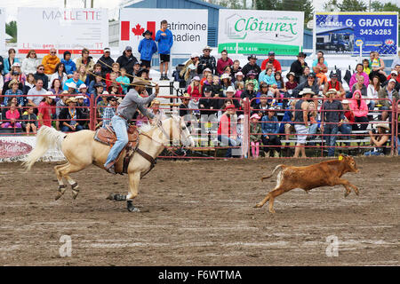 Cowboy in procinto di lanciare il suo lazo presso il locale rodeo calf roping concorrenza in Quebec Foto Stock